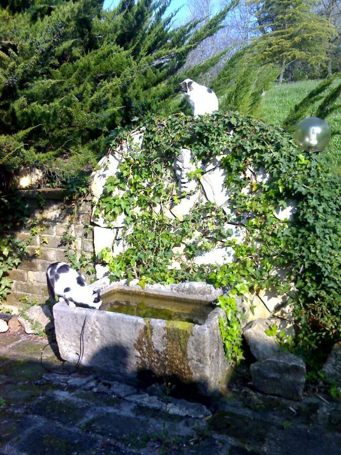Villa Con Piscina كانالي مونتيرانو المظهر الخارجي الصورة